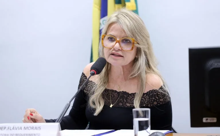 Deputada Flávia Morais, de óculos e roupa preta, fala ao microfone durante audiência na Câmara dos Deputados.